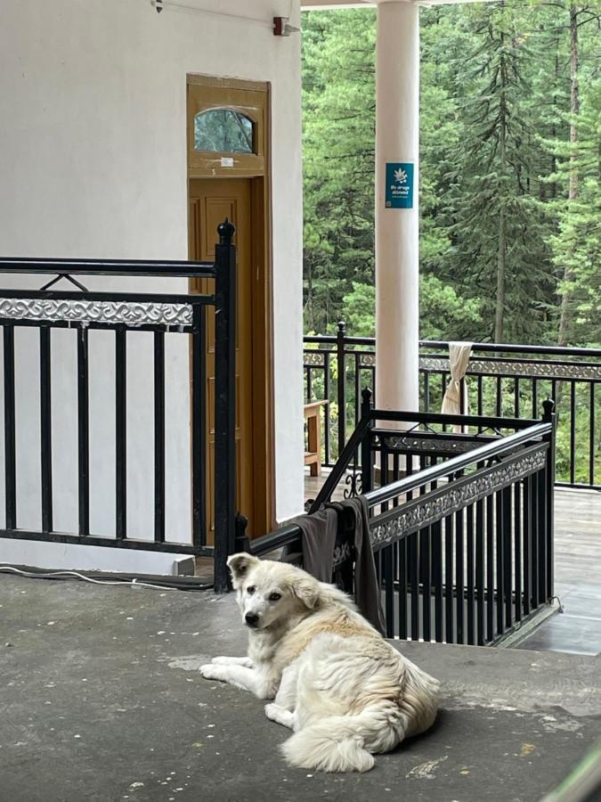 Wabi Sabi Riverside Hostel Kasol Bagian luar foto